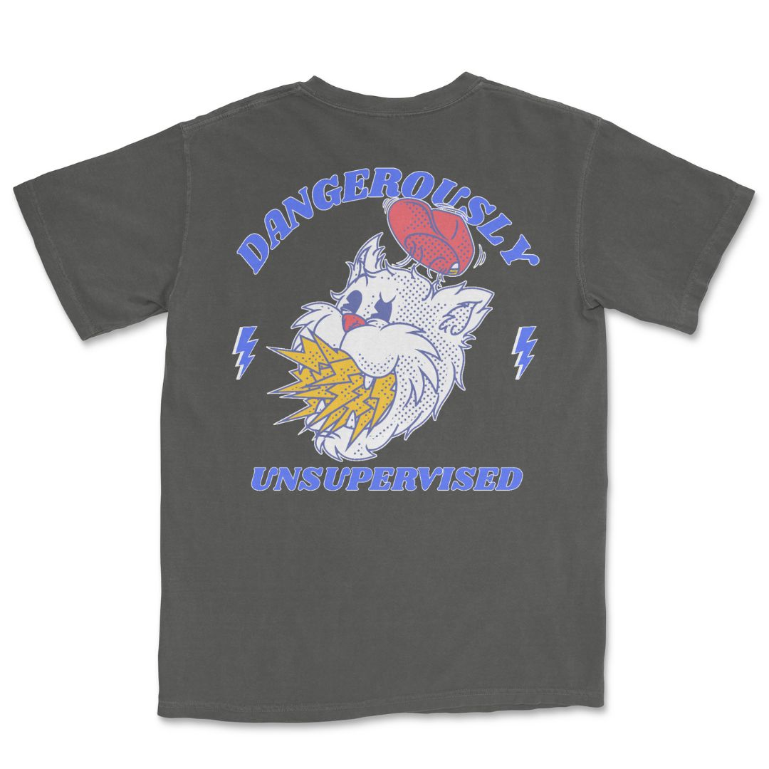 Dangerously Unsupervised T-Shirt